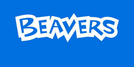 Contact Beavers Team