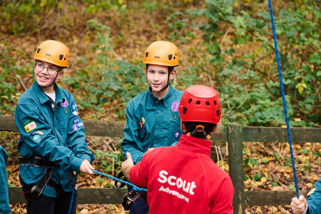 About Scouts